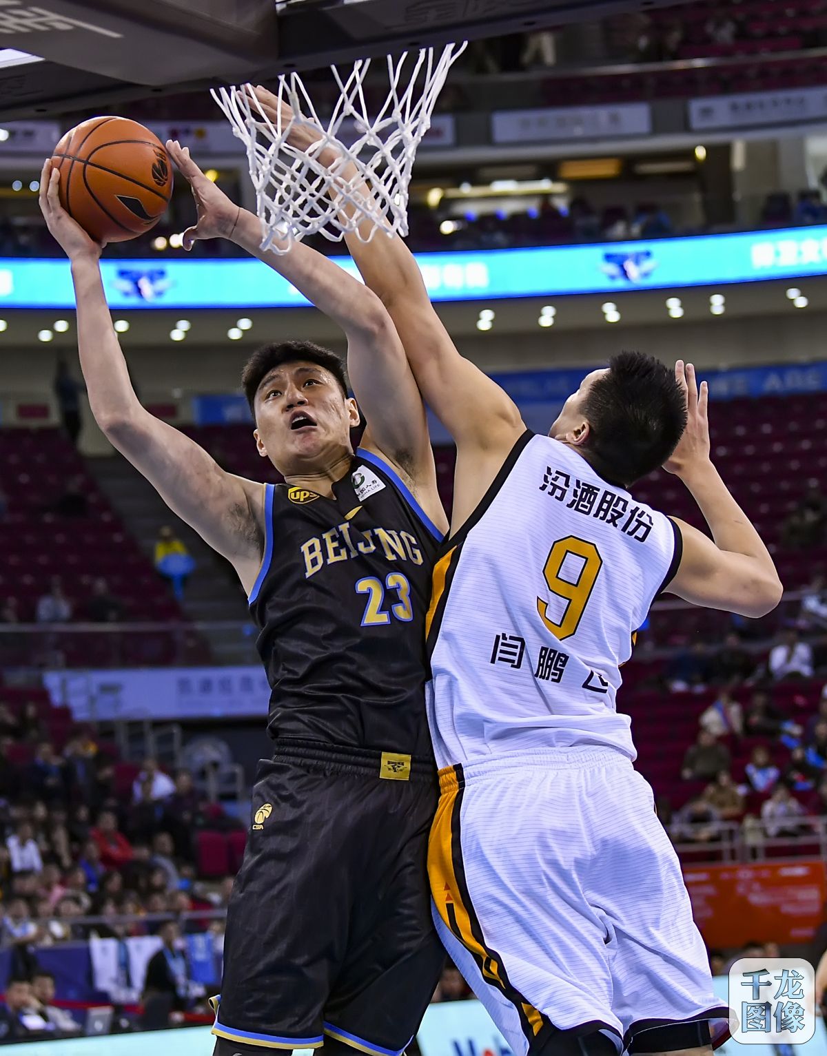 每体：西班牙人举办第三届“鹦鹉不离弃”活动，支持动物领养（每体：西班牙人举行第三届“鹦鹉不抛弃”公益活动，倡导动物领养）